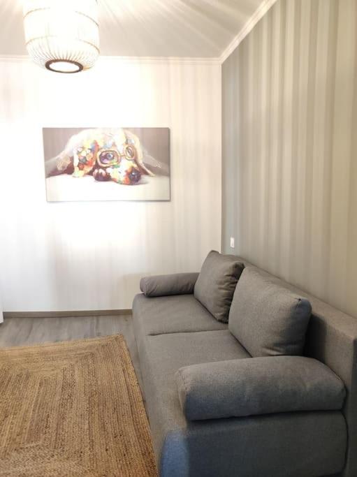 Ferienwohnung Cocon De Charline - Charme Et Elegance Dans Le Centre Montauban Exterior foto